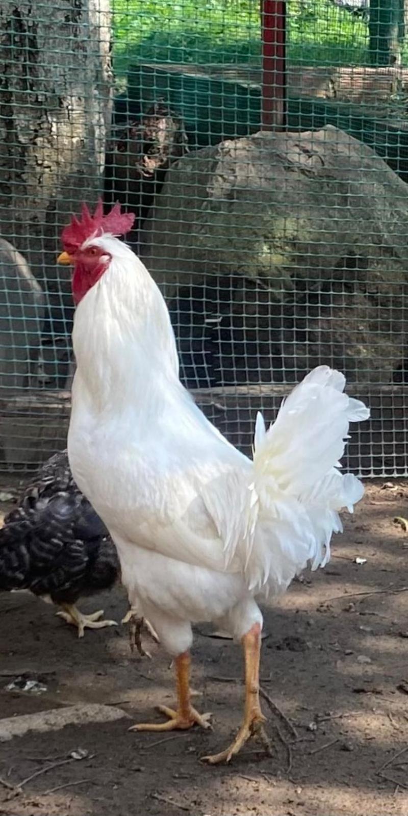 Hosteria Campestre San Fermin راكيرا المظهر الخارجي الصورة