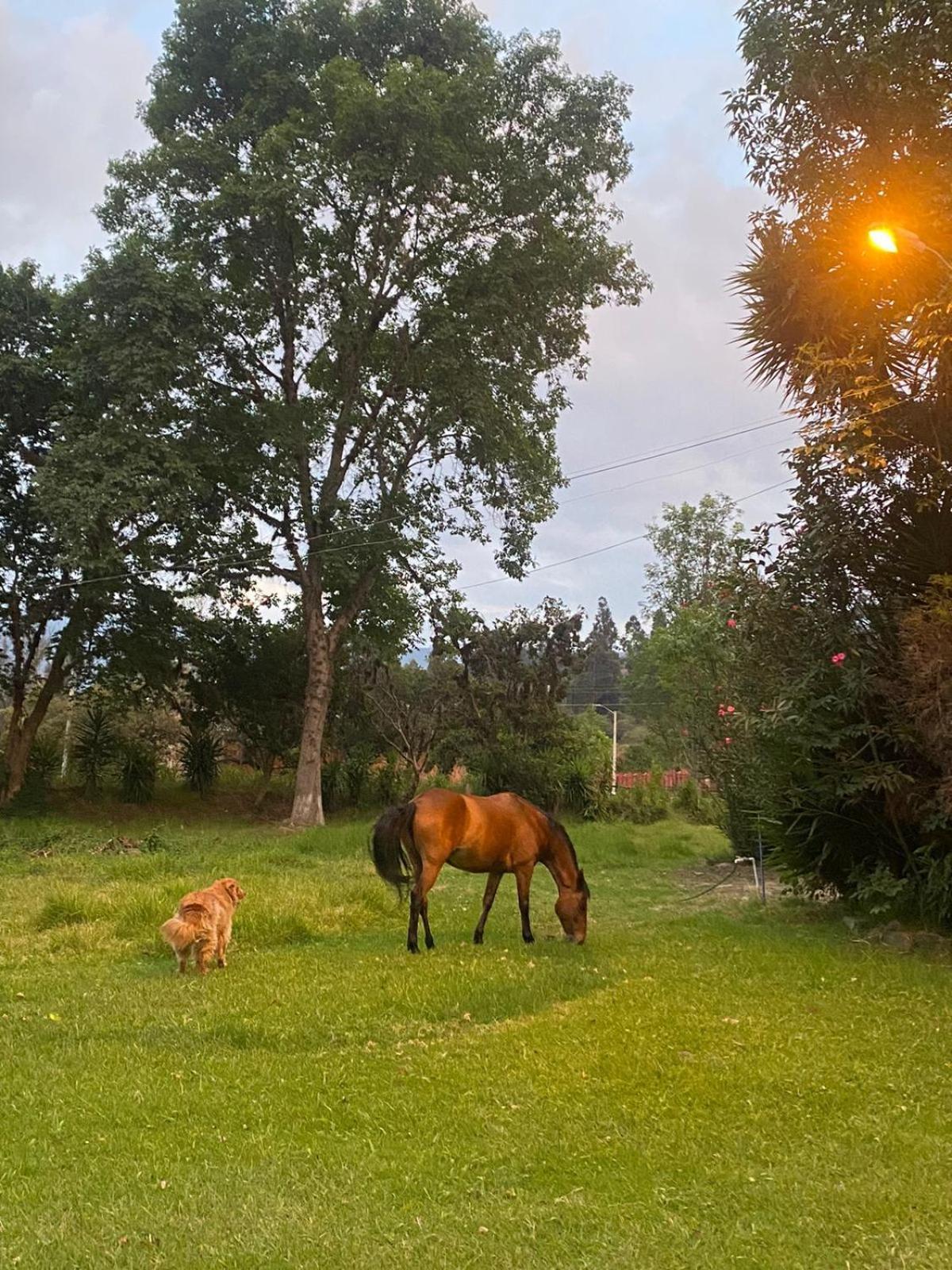 Hosteria Campestre San Fermin راكيرا المظهر الخارجي الصورة
