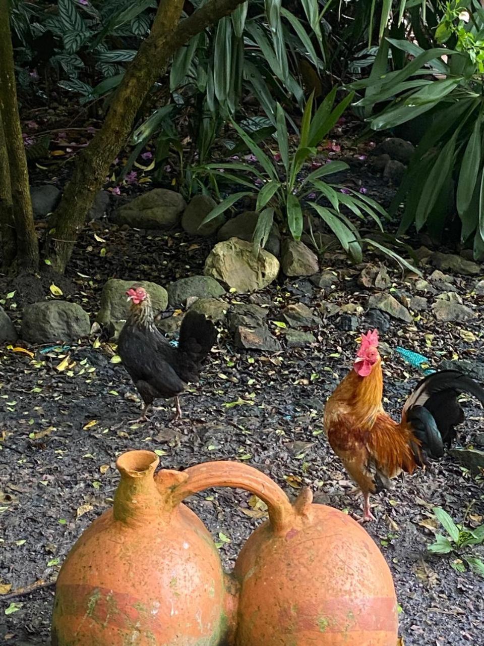 Hosteria Campestre San Fermin راكيرا المظهر الخارجي الصورة